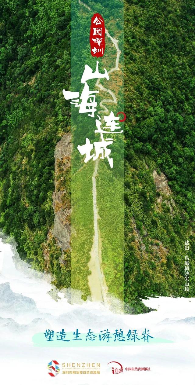 深圳：以“四年夜动作”为抓脚促进“公园都会”建立-6.jpg