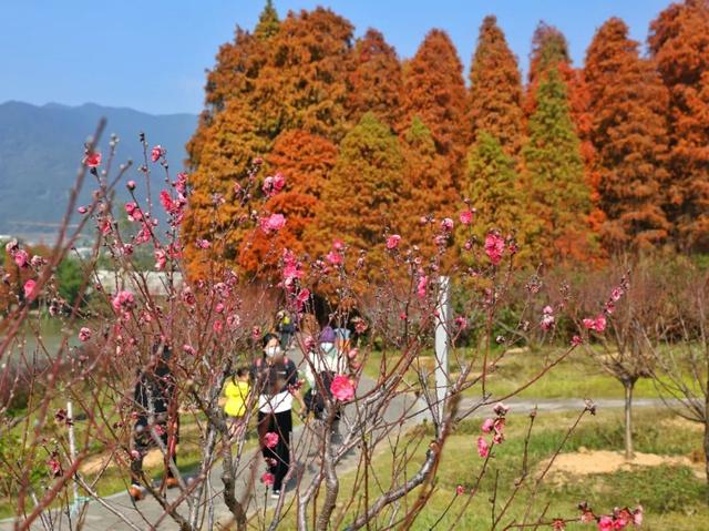 肇庆又水了！白透齐网的网白拍摄天，竟又吸收了齐省存眷……-14.jpg