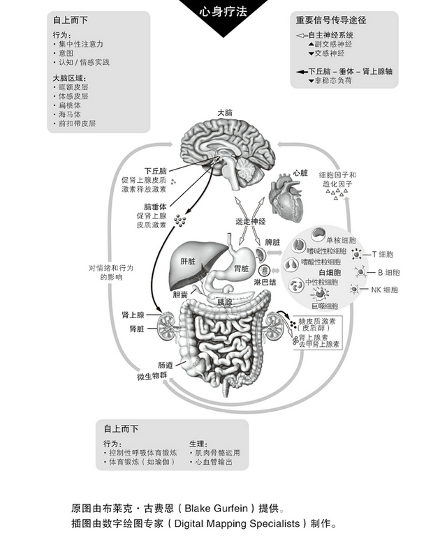 现今人类安康面对的最年夜危急，去自免疫力？-5.jpg