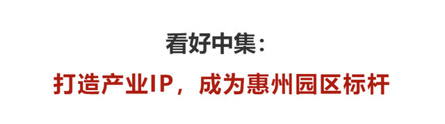 下量量开展的产乡交融理论① | 惠州财产会聚“新速率”：芦苇荡中降生“财产吸铁石”-5.jpg