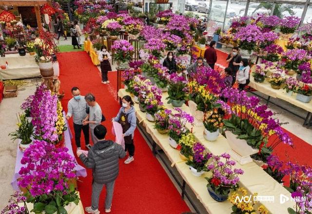 游十里花街，赏花市八景！佛山最年夜最靓迎秋花市11日迎客！-3.jpg