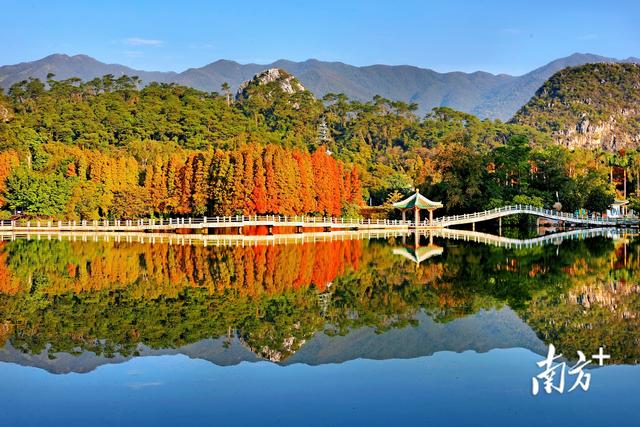 图散｜夏历新年将至，肇庆年味渐浓-1.jpg