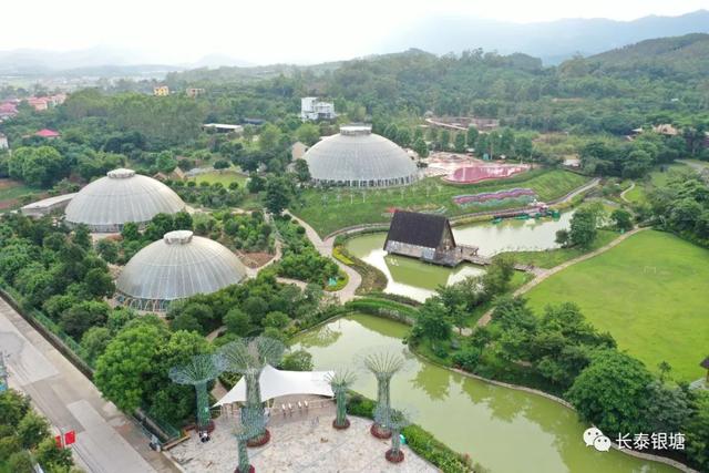 盘活地盘资本 撬动百亿产值——祸建少泰古农农场蝶变之路-5.jpg