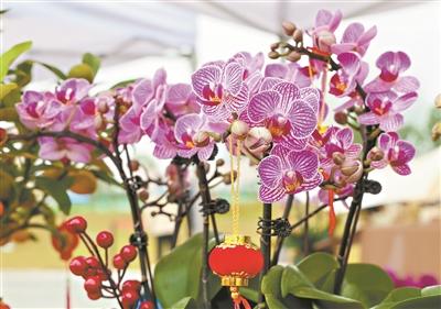 非遗展现、火上花讲、怀旧花市……广州迎秋花市回回，“十里花街”风情万种庆新秋-6.jpg