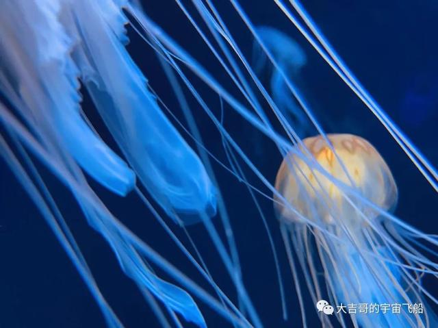 3月23-24日 第三十5、六天：《夜宿，珠海少隆陆地王国》-15.jpg