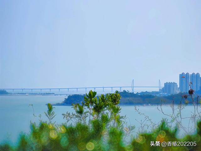 珠海的家狸岛-9.jpg