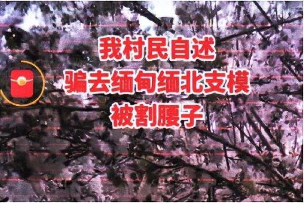 为供存眷假造“缅北割腰子”，云北警圆：查！-1.jpg