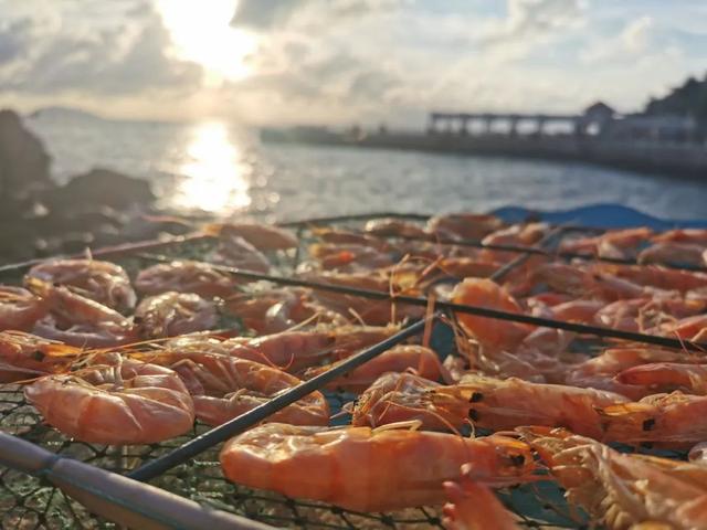 珠三角看海尾选！珠海那个小寡海岛让人来了借念来-14.jpg