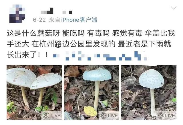 病发15例，灭亡5例！深圳徐控告急提示-6.jpg