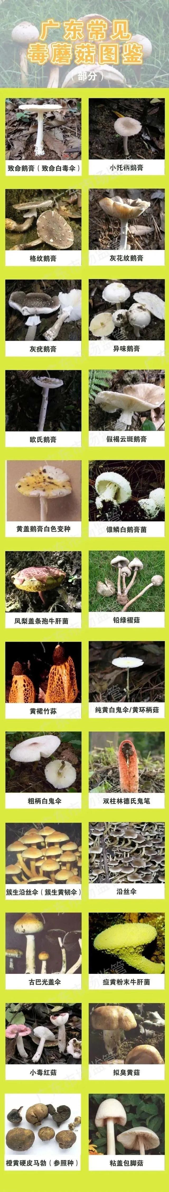 病发15例，灭亡5例！深圳徐控告急提示-11.jpg