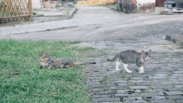 第一次来东莞游览，那些处所战好食激烈保举！值得珍藏-19.jpg