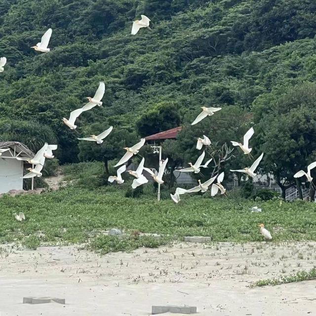 珠海离岛钱袋岛2天1夜游放年夜招！住钱袋岛沐日旅店，公享岛屿风景-11.jpg