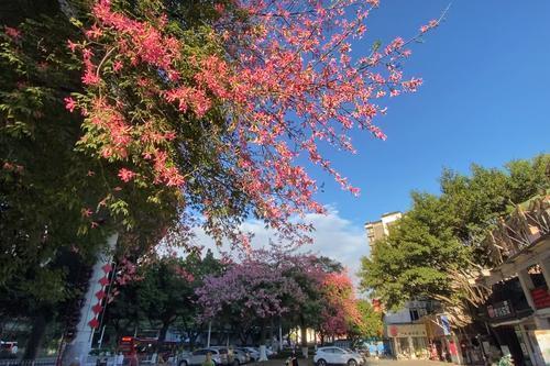 逾九成市平易近认同广州是幻想的寓居都会-1.jpg