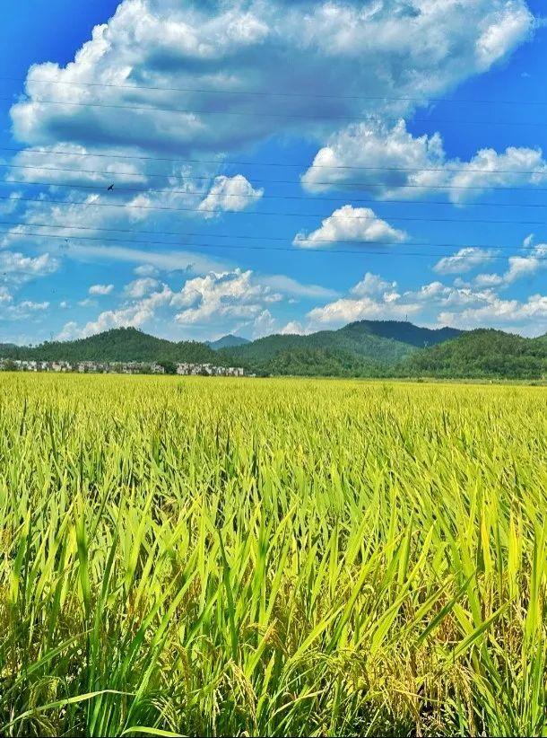 “夏日定造”好景，本来躲正在肇庆那些处所！-2.jpg