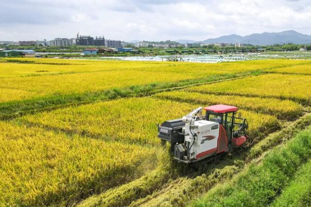 “夏日定造”好景，本来躲正在肇庆那些处所！-8.jpg