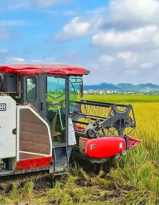 “夏日定造”好景，本来躲正在肇庆那些处所！-6.jpg