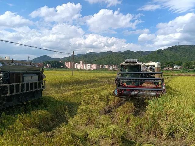 “夏日定造”好景，本来躲正在肇庆那些处所！-9.jpg