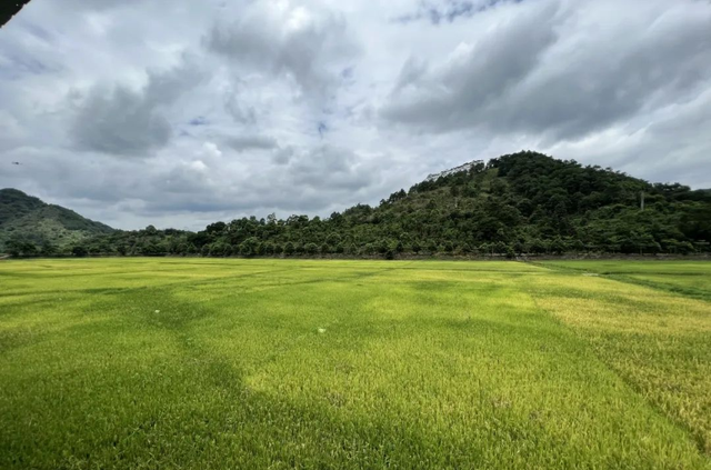 “夏日定造”好景，本来躲正在肇庆那些处所！-13.jpg