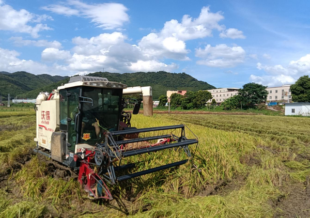 “夏日定造”好景，本来躲正在肇庆那些处所！-12.jpg