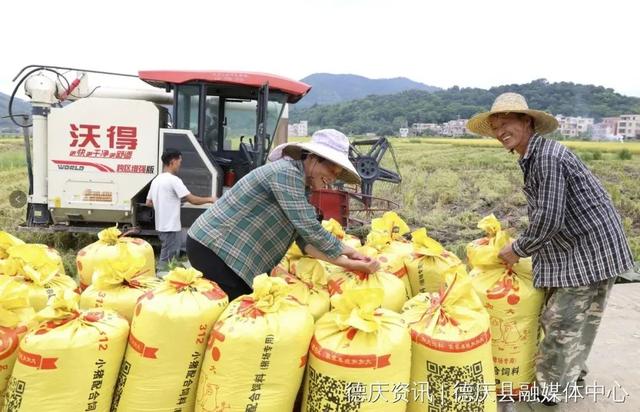 “夏日定造”好景，本来躲正在肇庆那些处所！-16.jpg