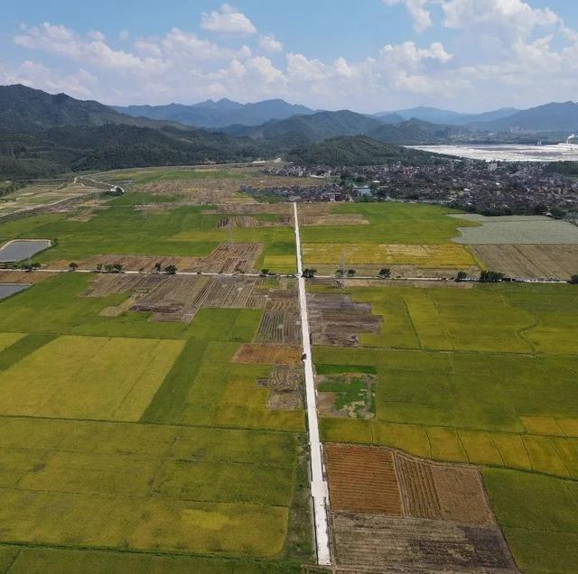 “夏日定造”好景，本来躲正在肇庆那些处所！-19.jpg