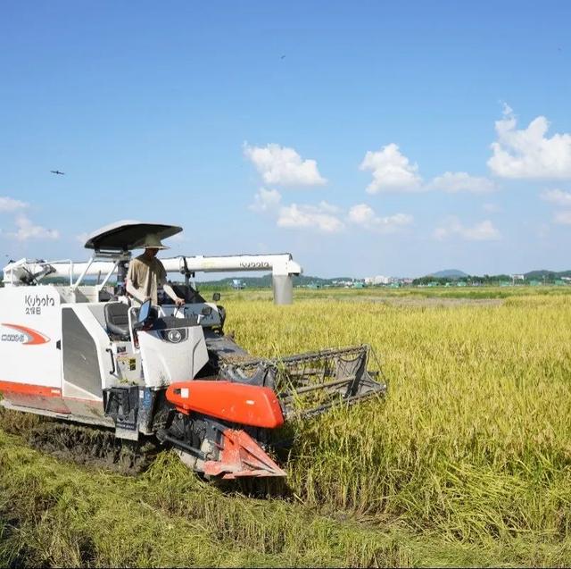 “夏日定造”好景，本来躲正在肇庆那些处所！-18.jpg