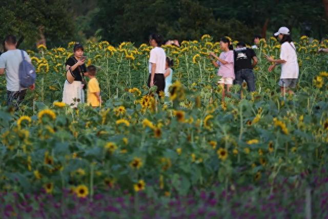 去一场city walk！让您狠狠迷住珠海！-3.jpg