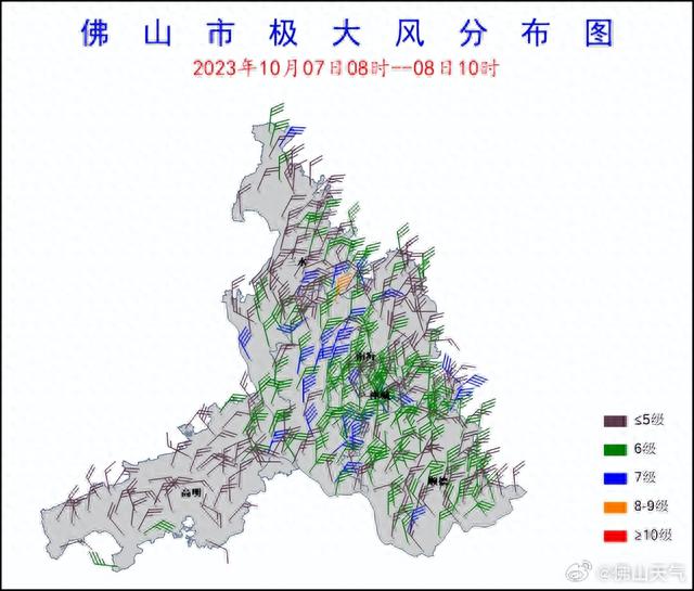 热露至，佛山春意浓？初春体验有用期另有……-3.jpg