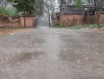 广东气候预告:雨雨雨！齐省持续暴雨特年夜暴雨去袭！明天开端-6.jpg