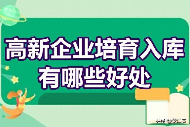 惠州市2024年下新企业培养进库事情开端啦-2.jpg