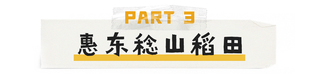 秋天挨卡好去向！惠州那些稻田太好了……-30.jpg