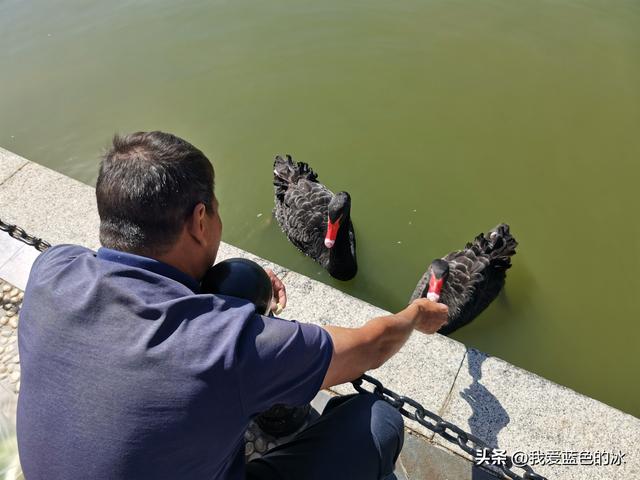 早餐后，玩耍珠海很黄很黄的海，海滨公园里旅客相称的多-54.jpg