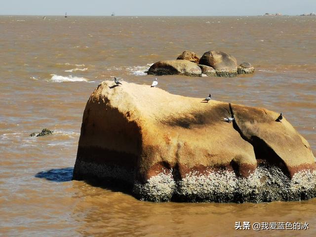 早餐后，玩耍珠海很黄很黄的海，海滨公园里旅客相称的多-71.jpg