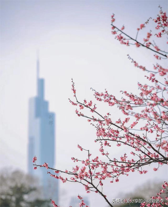 来一趟北京战东莞，发明北京战东莞的差异其实太年夜了，道道内心话-23.jpg