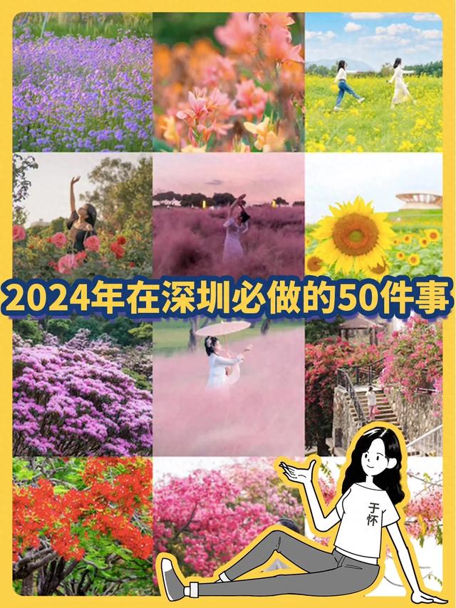 2024年正在深圳必做的50件事 1、沿深圳湾栈讲...-1.jpg