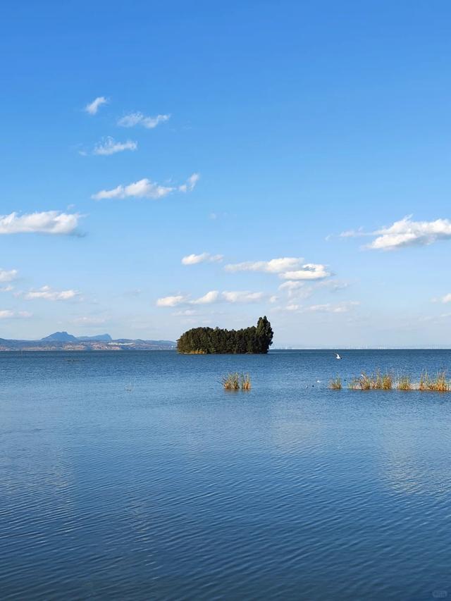 1年来了3趟昆明战珠海，发明昆明战珠海的差异没有是一星半面-4.jpg