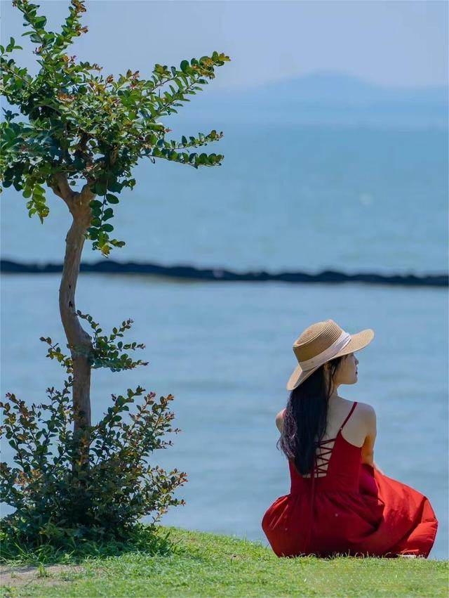 来一趟无锡战中山，发明无锡战中山的差异其实太年夜了，道道内心话-7.jpg