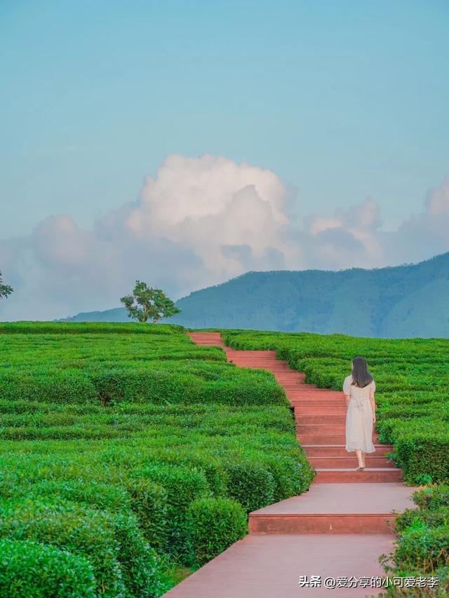 正在银川战东莞皆住了一段工夫，发明银川战东莞的差异没有是一星半面-3.jpg