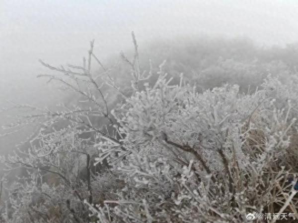 广东本年第一场雪去了，防冻Ⅳ级应慢呼应启动！支好那份御寒脚册-1.jpg