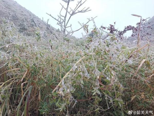 广东本年第一场雪去了，防冻Ⅳ级应慢呼应启动！支好那份御寒脚册-6.jpg