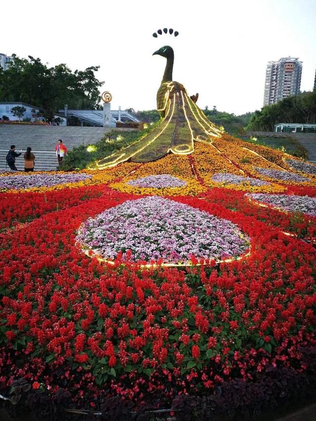 《广东篇》深圳必来得五年夜景面及好食-9.jpg