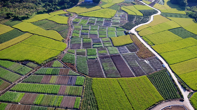 2024年“惠州最好乡村路”自驾游道路带您玩转秋节！-31.jpg