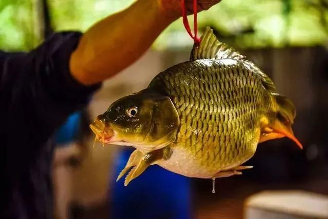 “启包”每日三餐！肇庆超多隧道好食，等您去尝陈……-20.jpg