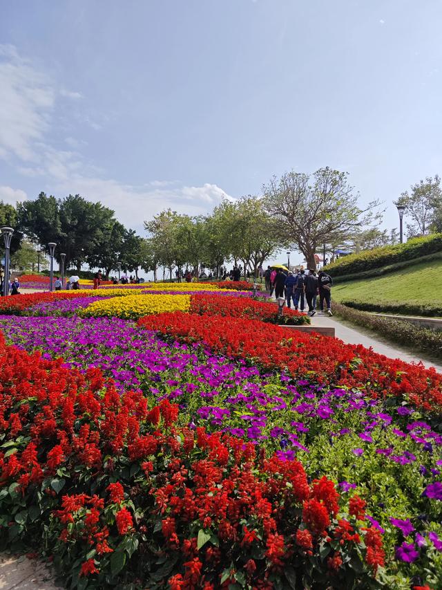 到海边看深圳光景，万万别再道深圳是空乡！-12.jpg