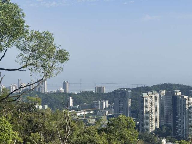 珠海各港口秋节迎去收支境“单背”客流顶峰，跨境过年景新风气-2.jpg