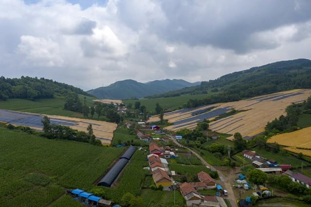 凶林通化的老两心挑选去广东中山假寓，缘故原由有那五条-3.jpg