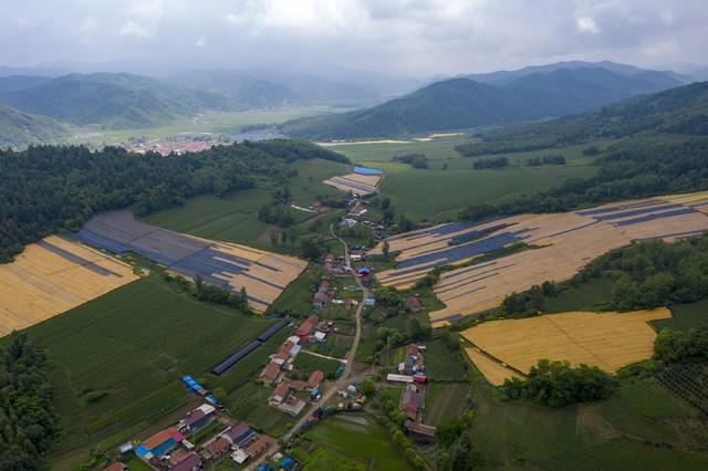 凶林通化的老两心挑选去广东中山假寓，缘故原由有那五条-2.jpg