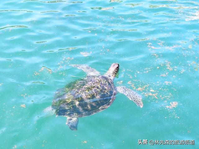 刚从广东惠州返来露泪总结的深入经验，来惠州旅游看那一篇便GO了-5.jpg