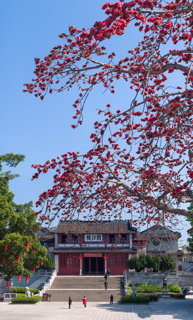 肇庆3月繁花上线，那些“宝躲赏花天”没有容错过-10.jpg