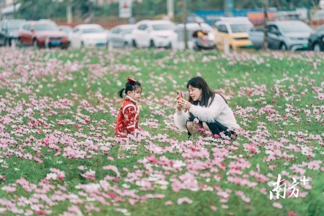 多图｜最佳丽间三月天，惠州无处没有飞花-10.jpg